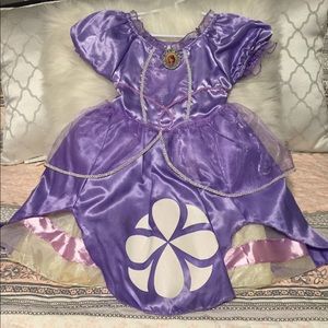 Sofia The First Dress Up/Costume